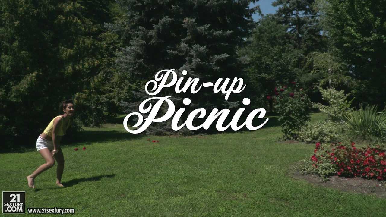 Pin-up Picnic